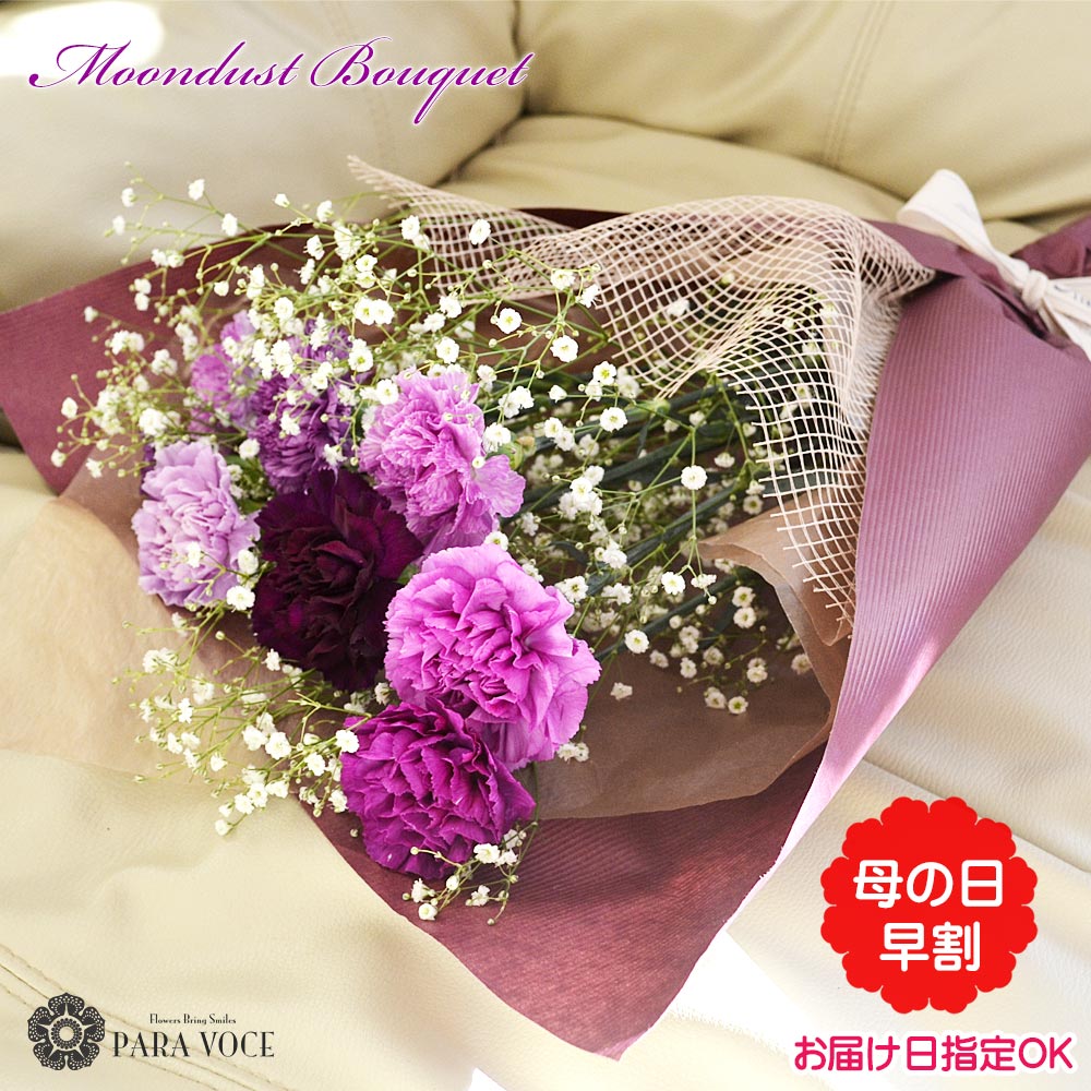 【母の日 早割 】母の日 カーネーション ムーンダスト8本の花束 母の日 プレゼント ははのひ 母の日 花 母の日 カーネーション 生花 スイーツ セットもOK おしゃれ ギフト 母の日ギフト 珍しく神秘的な青い花 贈り物 送料無料