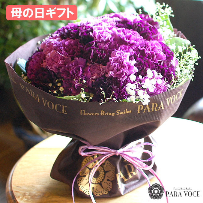 人気no 1 本体 母の日 早割クーポン有 母の日 花 ギフト ムーンダストの花束 Ll 48本 母の日 花瓶が要らない花束 カーネーション プレゼント 花 紫のカーネーション 母の日プレゼント 花 青 紫 生花 花ギフト おしゃれ 送料無料 包装無料 送料無料 Www