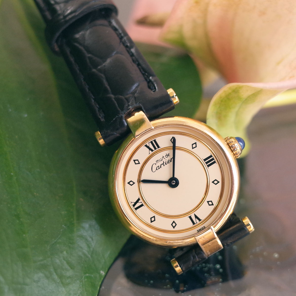 楽天市場】ショパール ハッピースポーツ スクエア ミニ 27/8892