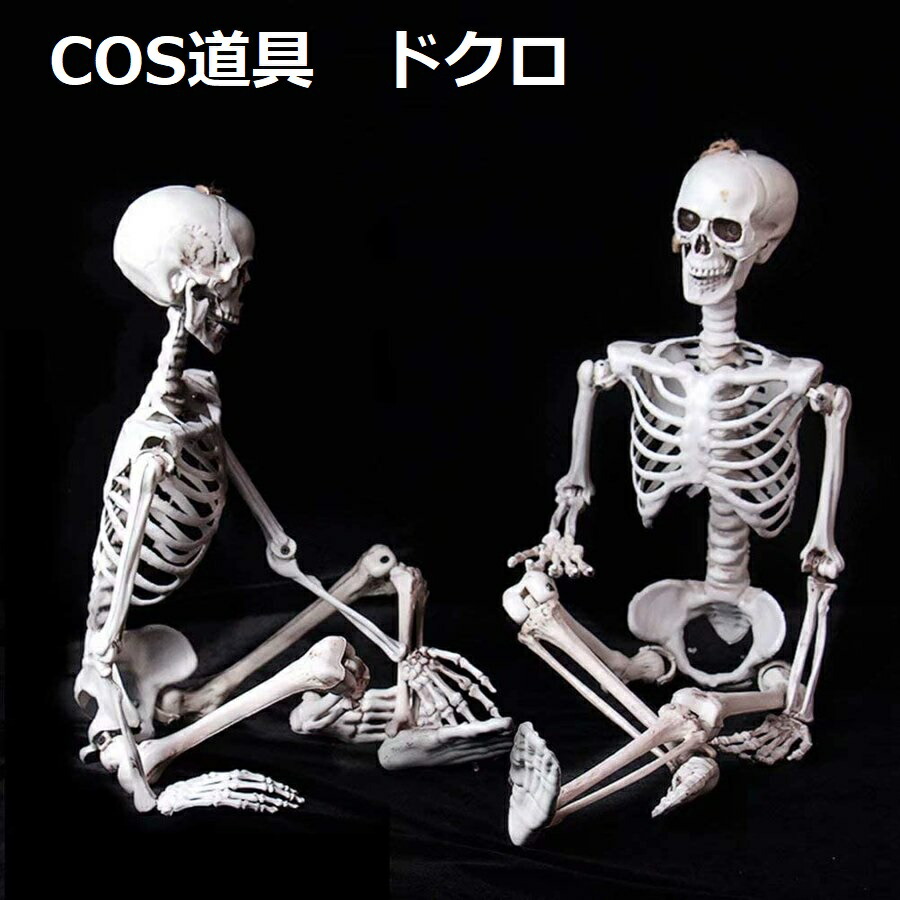 等身大　ガイコツ　スカル 楽天市場】等身大骸骨 (プラスチック製) (720465)ガイコツ