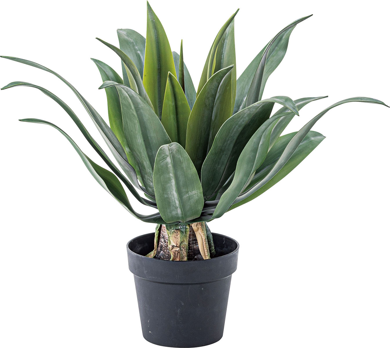 フェイクグリーン アガベ  ポリ塩化ビニル 合成樹脂 フェイクグリーン アガベ GRN-14 フェイクグリーン アガベ ポリ塩化