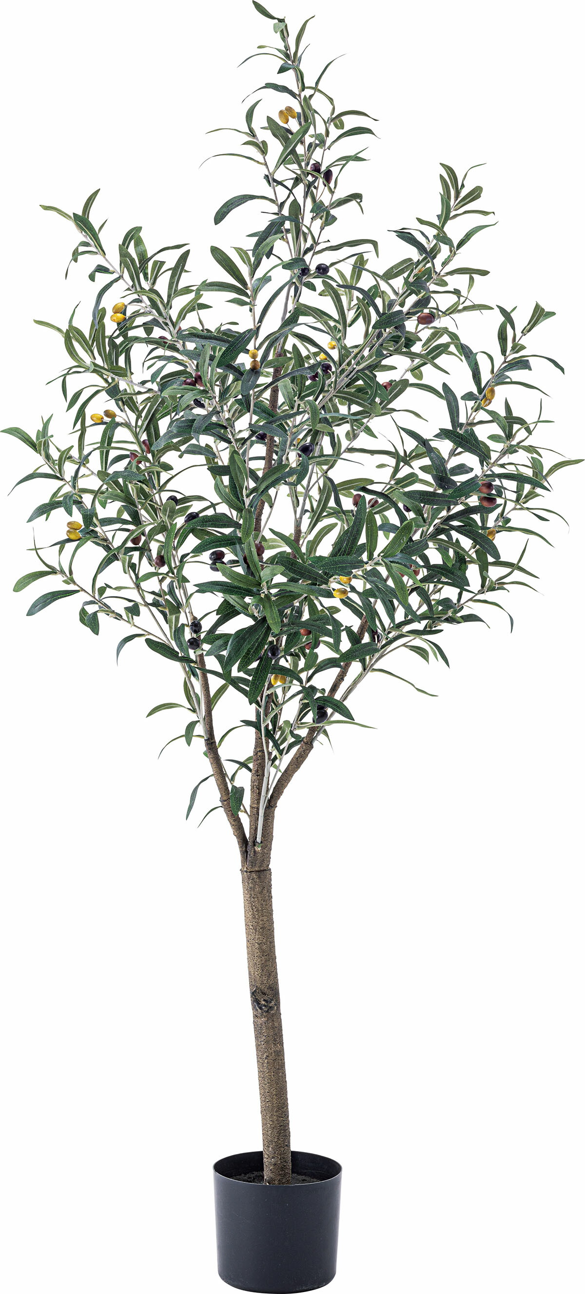 専用＊オリーブ　フェイクスワッグ 楽天市場】オリーブ フェイクグリーン GRN-17 高さ152cm フェイク