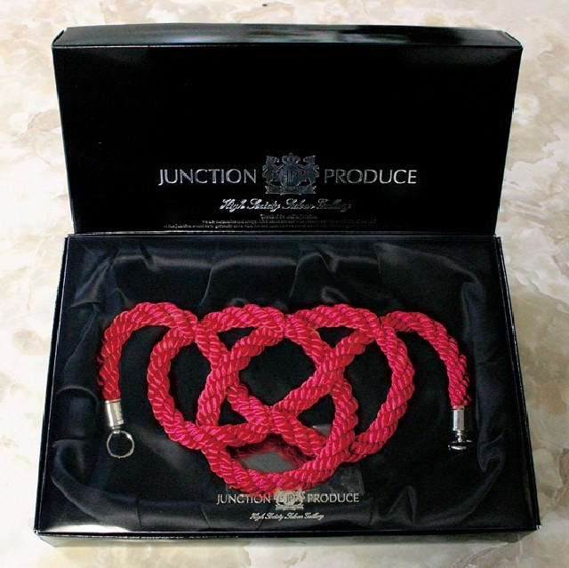 【希少】ジャンクションプロデュース　国産ドレスアップ高級車写真集　カタログセット JUNCTION PRODUCE WEB SITE / 国産ドレスアップ高級車写真集