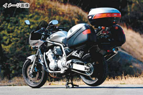 【4月9日出荷】デイトナ GIVI 348FZ モノラックステー FZS 90131