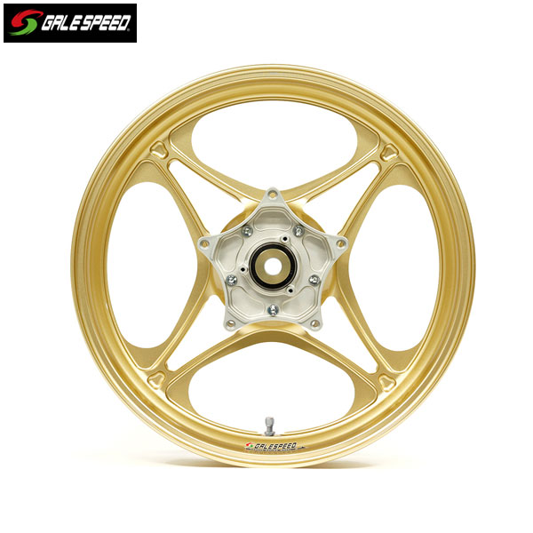 GALE SPEED (ゲイルスピード) XJR1300 03-15(国内)/1300 04-07(逆車)/1300C 15 アルミ鍛造ホイール [TYPE-J フロント 350-17 ゴールド 29535008