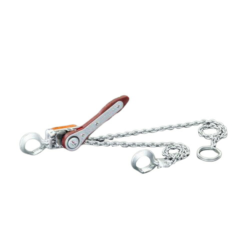 ESCO(エスコ) チェーンホイスト 100kg EA988CA-1 物流 梱包 倉庫 運搬用品・搬送機器 8,030円