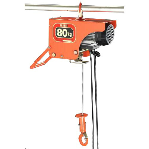 ESCO(エスコ) 電気ホイスト 100kg×10m EA987DB-2 物流 梱包 倉庫 運搬用品・搬送機器