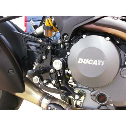 BABYFACE(ベビーフェイス) バックステップ/GLD 11P MONSTER1100EVO 11-13 002-D014GDd バイク