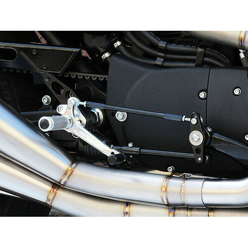 BABYFACE(ベビーフェイス) バックステップキット SLV XL1200/883 ABS 14- 002-HD010SV バイク