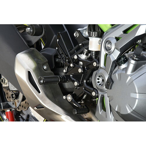 プロフィール確認してください BABYFACE(ベビーフェイス) バックステップキット BLK Z900(ZR900B) 17