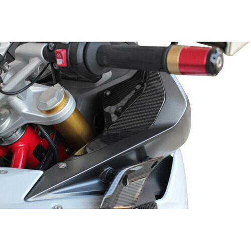 SPEEDRA インナーサイドパネル 左右セット ドライカーボン 平織り/艶あり CBM0705PG バイク 外装パーツ
