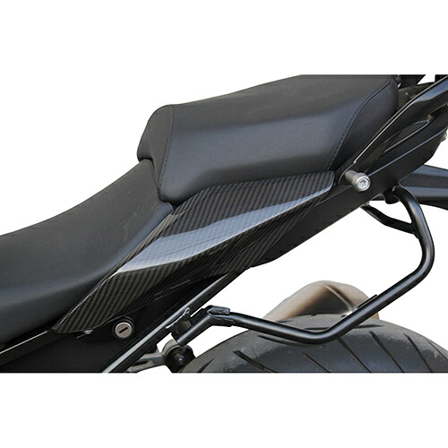 SPEEDRA テールサイドカバー 左右セット ドライカーボン 平織り/艶あり CBM0706PG バイク 外装パーツ