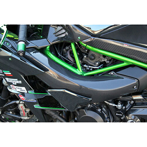 SPEEDRA ラムエアダクトカバー ドライカーボン 綾織り/艶消し CKA0715TM バイク 外装パーツ