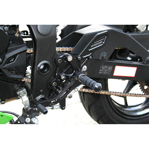 STRIKER(ストライカー) ステップ KIT BK NINJA250SL SS-AA2126B バイク ハブ・ハブシール