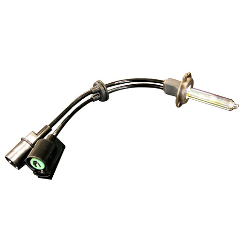 ABSOLUTE HID リペアバルブ ロータイプ H1/GLDバルブ HR1H1RG バイク ヘッドライト球