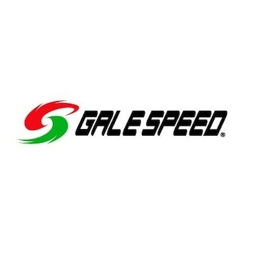 GALE SPEED(ゲイルスピード) フロントブレーキパッド(フロント2Pキャリパー用) 29300132 バイク