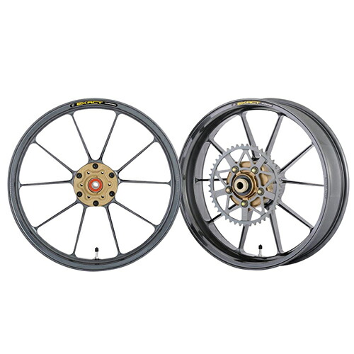 ADVANTAGE EXACT(ｱﾄﾞﾊﾞﾝﾃｰｼﾞ ｲｸﾞｻﾞｸﾄ) EXACT RACING10 フル鍛造マグネシウムホイール ガンメタ 5410R-K003-SR バイク