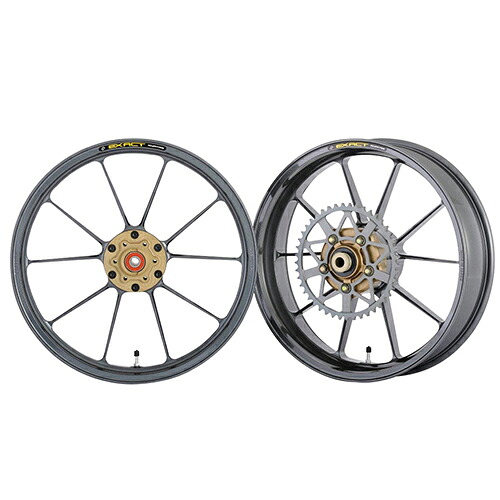 ADVANTAGE EXACT(ｱﾄﾞﾊﾞﾝﾃｰｼﾞ ｲｸﾞｻﾞｸﾄ) EXACT RACING10 フル鍛造マグネシウムホイール ガンメタ 5410R-S040-SR バイク