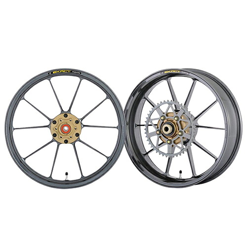 ADVANTAGE EXACT(ｱﾄﾞﾊﾞﾝﾃｰｼﾞ ｲｸﾞｻﾞｸﾄ) EXACT RACING10 フル鍛造マグネシウムホイール ガンメタ 5410R-S060-SR バイク
