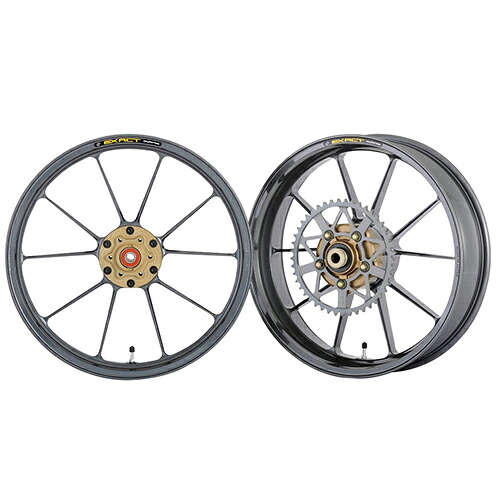 ADVANTAGE EXACT(アドバンテージ イグザクト) EXACT RACING10 フル鍛造マグネシウムホイール ガンメタ 5410R-S119-SR バイク