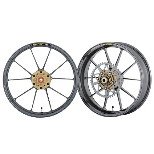 ADVANTAGE EXACT(ｱﾄﾞﾊﾞﾝﾃｰｼﾞ ｲｸﾞｻﾞｸﾄ) EXACT II RACING10 フル鍛造アルミホイール ガンメタ 5410R-AP05-2SR バイク