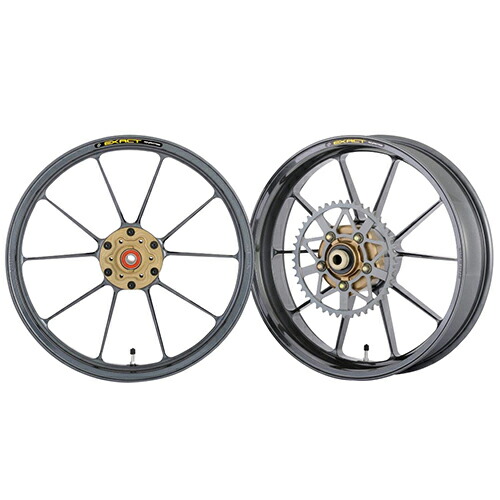 ADVANTAGE EXACT(アドバンテージ イグザクト) EXACT II RACING10 フル鍛造アルミホイール ガンメタ 5410R-BM01-2SR バイク