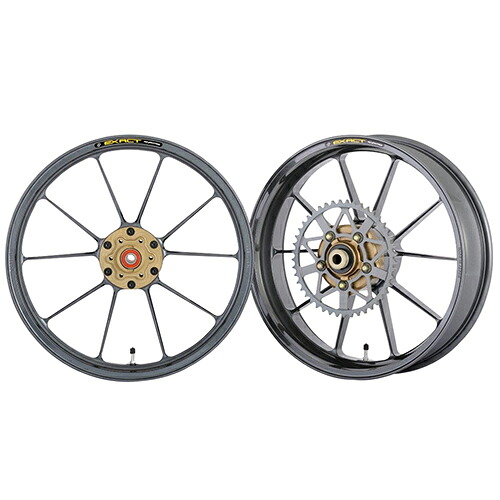ADVANTAGE EXACT(ｱﾄﾞﾊﾞﾝﾃｰｼﾞ ｲｸﾞｻﾞｸﾄ) EXACT II RACING10 フル鍛造アルミホイール ガンメタ 5410R-K088-2SR バイク