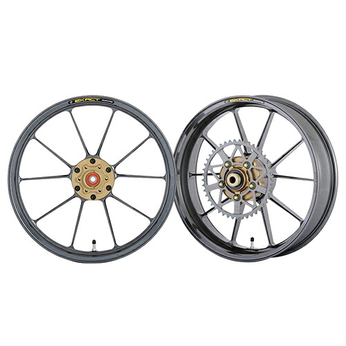 ADVANTAGE EXACT(アドバンテージ イグザクト) EXACT II RACING10 フル鍛造アルミホイール ガンメタ 5410R-S015-2SR バイク