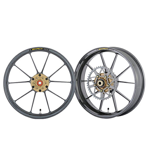 ADVANTAGE EXACT(アドバンテージ イグザクト) EXACT II RACING10 フル鍛造アルミホイール ガンメタ 5410R-S319-2SR バイク