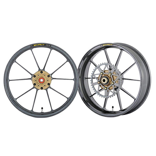 ADVANTAGE EXACT(ｱﾄﾞﾊﾞﾝﾃｰｼﾞ ｲｸﾞｻﾞｸﾄ) EXACT II RACING10 フル鍛造アルミホイール ガンメタ 5410R-Y012-2SR バイク