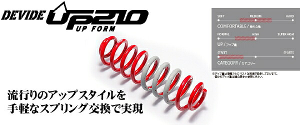 TANABE NBOXカスタム JF1 SUSTEC UP210 JF1UK