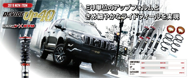 TANABE プラド TRJ150W SUSTEC DEVIDE UP40 アップスプリング 1台分 UP40TRJ150WK