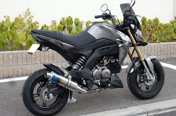 WR'S Kawasaki Z125PRO用 チタンショートオーバル焼き色サイレンサー/フルエキゾースト LS4110JM