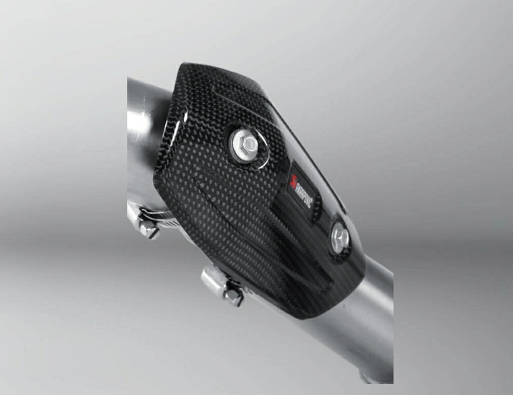 AKRAPOVIC VERSYS1000 カーボンヒートシールド P-HSK10R4