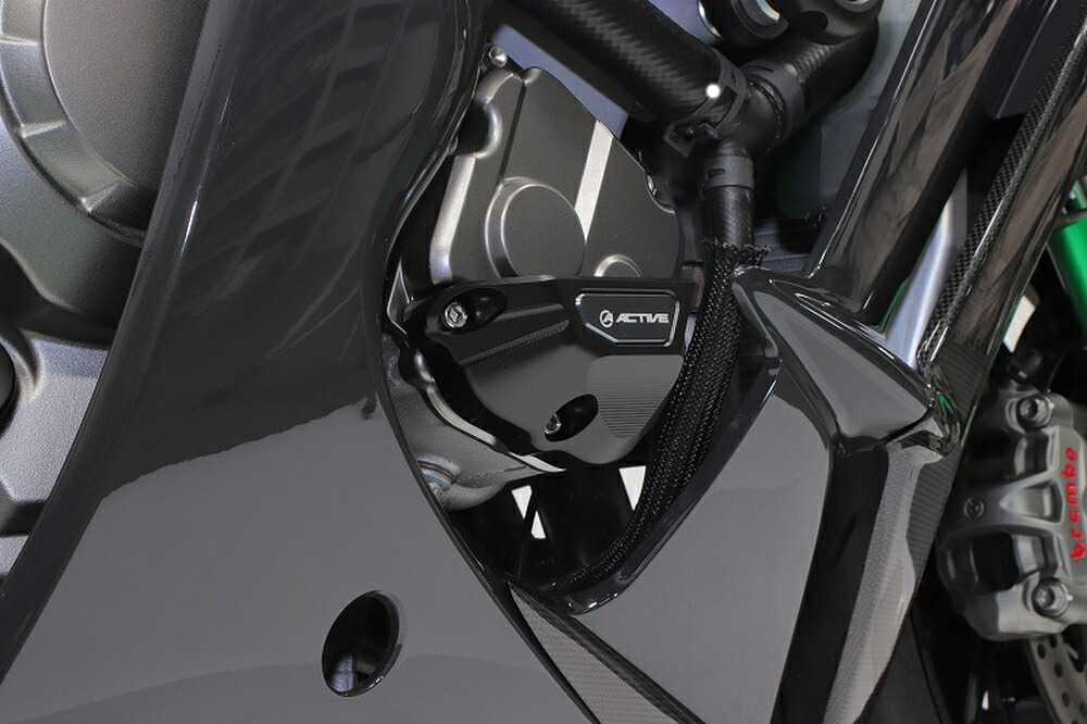 ACTIVE ZX-10R/ABS ZX-10RR/ABS エンジンカバースライダー 左右セット 1132701