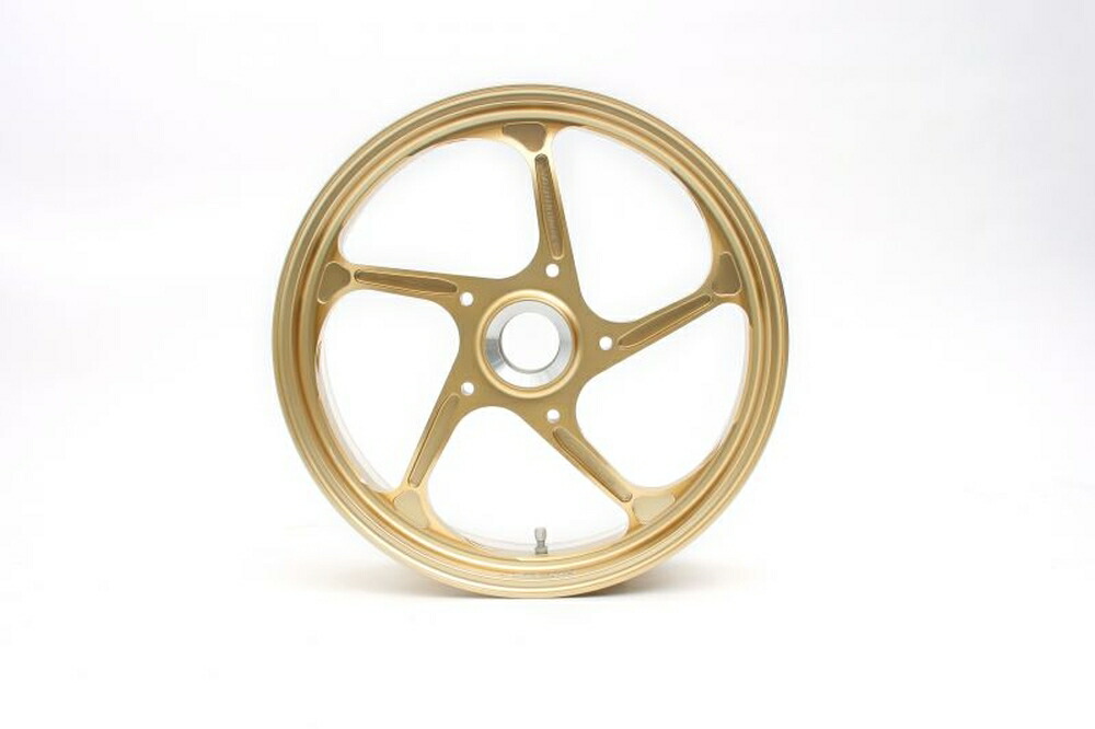 GALE SPEED DUCATI/MONSTER 1200/PANIGALE V4 アルミ鍛造ホイール (TYPE-GP1S/モノアーム用) R 600-17 ソリッドホワイト 29190165SW
