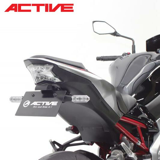 ACTIVE Kawasaki Z900/ Z H2 フェンダーレスキット(LEDナンバー灯付き) 1157098|PartsOnline 店