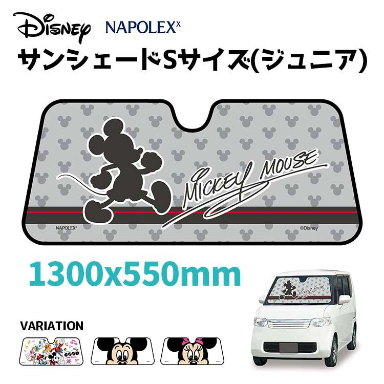 NAPOLEX Disney/Pixar
