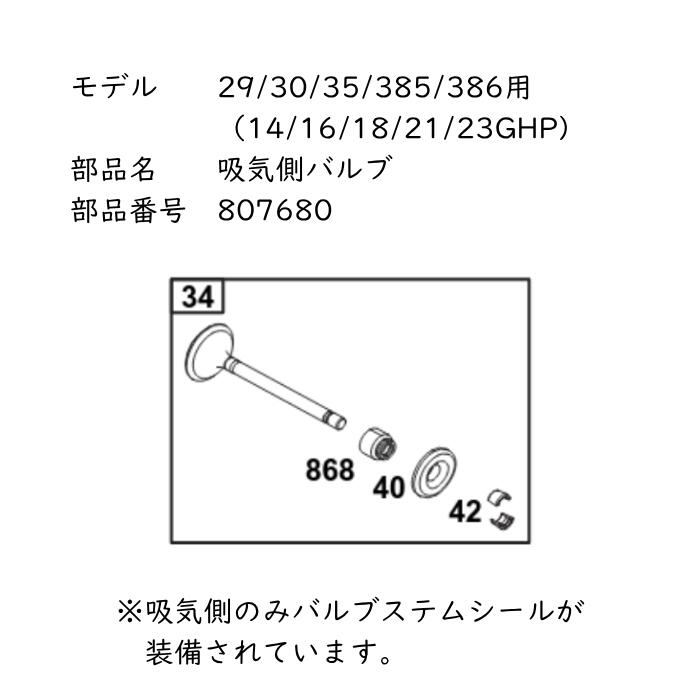 バン差し固める Vツイン 14/16/18/21/23GHP 完全無欠 吸い入れる側弁膜 807680 Briggs Vanguard