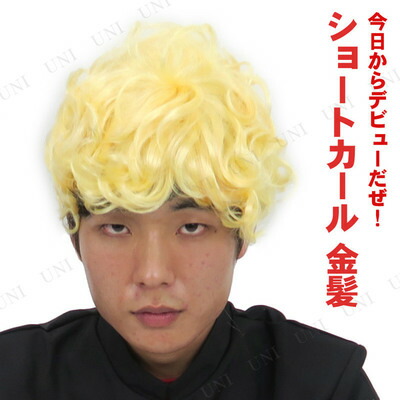 楽天市場 あす楽12時まで コスプレ 仮装 Patymo 金髪ショートカール コスプレ 衣装 ハロウィン パーティーグッズ かぶりもの ウィッグ かつら ショート パンチパーマ カツラ ヤンキー 変装グッズ 不良 髪の毛 プチ仮装 ハロウィン 衣装 パーティワールド