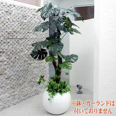 人工観葉植物 光触媒 モンステラ 165cm ユニエンタープライズ 光触媒加工 お客様組立商品 葉の数約25枚｜パーティワールド 17,871円