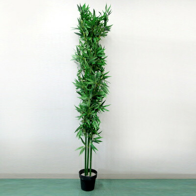 楽天市場】人工観葉植物 光触媒 バンブー 竹 210cm 【 光触媒 フェイク