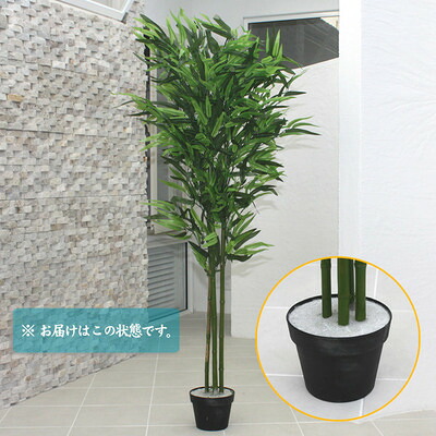 人工観葉草木 光触媒 バンブー 青竹 150珊 ENTERPRISE バス発着場かざり付ける品 時期 出来事 七夕 光触媒工業 写実的なからだ付き