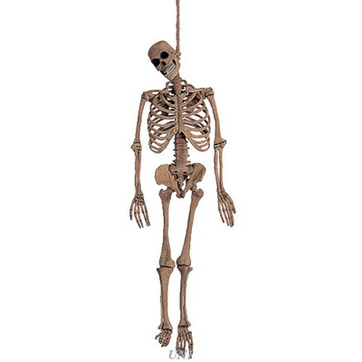 150cm(5ft)ラテックススケルトン Forum ハロウィン装飾品 雑貨 骸骨 ハンギングデコレーション