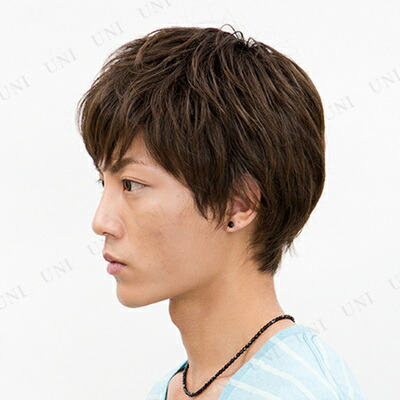 取寄品 セニングショート ローライトブラウン 自然 メンズ ファッションウィッグ かつら コスプレ フルウィッグ 男性用 Vmaphotographystudios Com