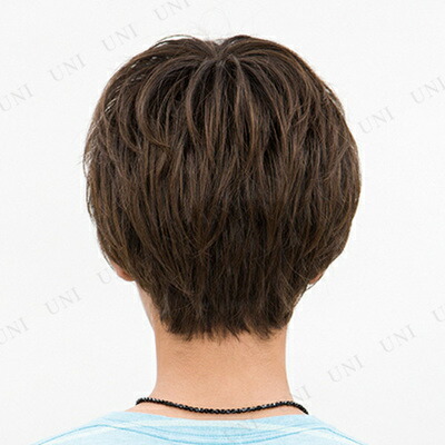 取寄品 セニングショート ローライトブラウン 自然 メンズ ファッションウィッグ かつら コスプレ フルウィッグ 男性用 Vmaphotographystudios Com