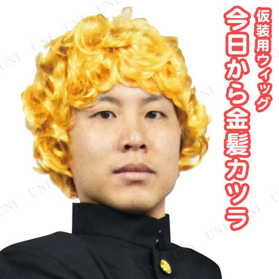 楽天市場 コスプレ 仮装 今日から金髪カツラ コスプレ 衣装 ハロウィン パーティーグッズ かぶりもの ウィッグ かつら 不良 ヤンキー プチ仮装 パンチパーマ 髪の毛 変装グッズ ハロウィン 衣装 パーティワールド