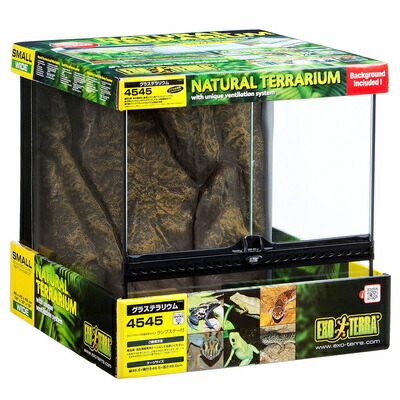 楽天市場】GEX グラステラリウム 4545 爬虫類 飼育 ケージ ガラス