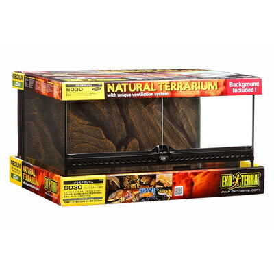 楽天市場】GEX グラステラリウム 4545 爬虫類 飼育 ケージ ガラス