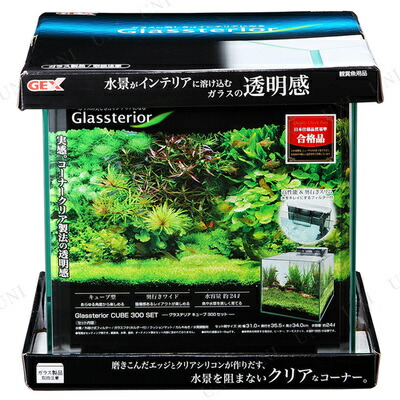 取寄品 観賞魚飼育セット グラステリアキューブ 300セット アクアリウム用品 ペットグッズ 水槽 ペット用品 septicin Com 取寄品 観賞魚飼育セット グラステリアキューブ 300セット アクアリウム用品 ペットグッズ 水槽 ペット用品 septicin Com